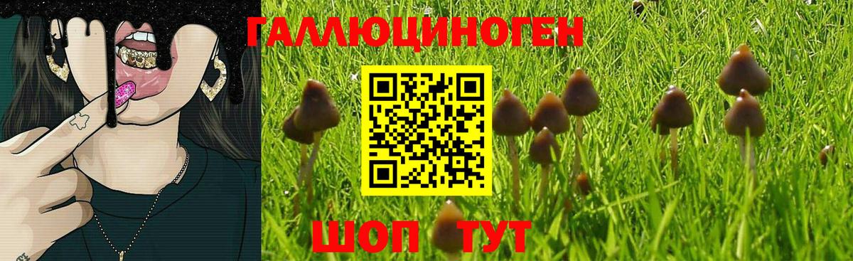 Галлюциногенные грибы Magic Shrooms  Вход с VPN  Волжский 