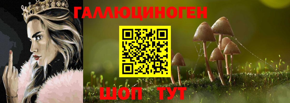 Галлюциногенные грибы Magic Shrooms Волжский